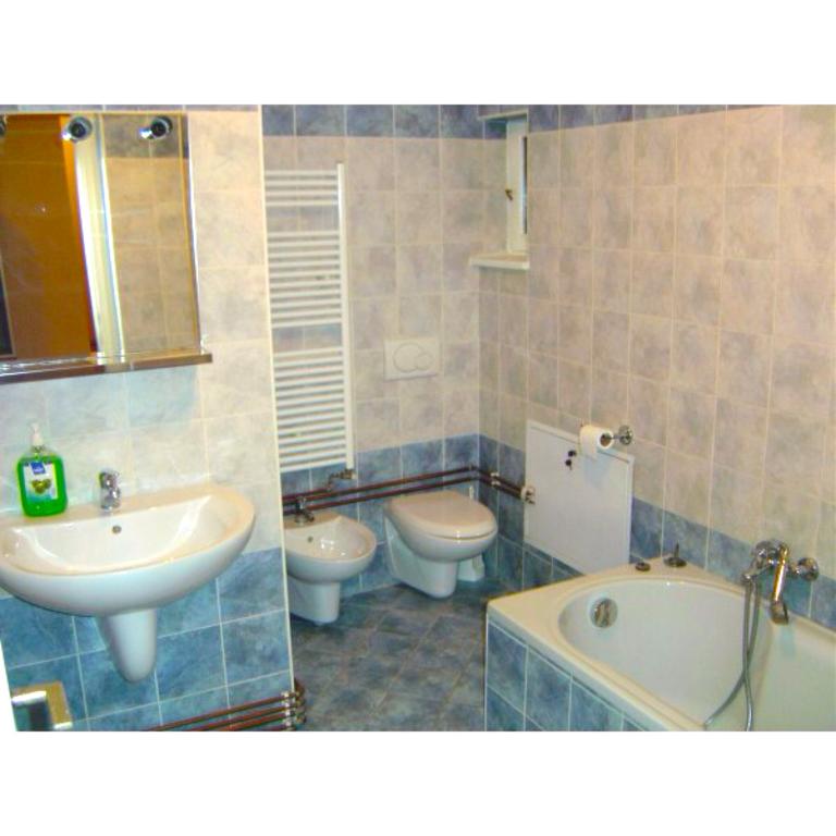 Sepcari Old City Apartment București